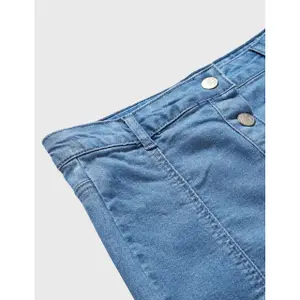 Girl's skirt Charanga Falpari image-2