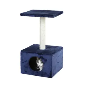 Kattenboom Kerbl Amethyst image-0