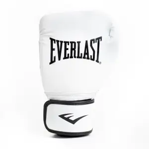 Handschuhe Everlast Core 2 gl image-0