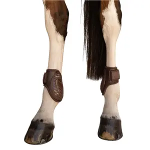 Fetlock guards for ponies Kentucky Horsewear Pro image-3