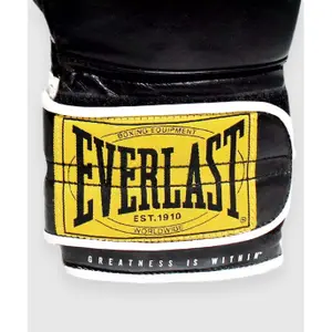 Luvas de boxe Everlast 1910 Hl Spar Gl image-4