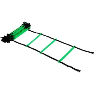 Race ladder Gilbert (4M)