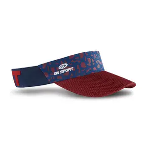 Visor BV Sport evo image-0