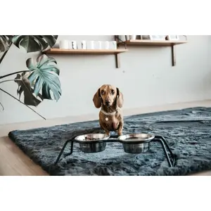 Gamelle confort pour chien Kentucky image-1