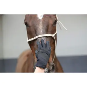 Riding Glove Racer Evolution image-1