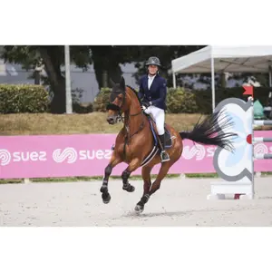 Riding Glove Racer Sensation image-6