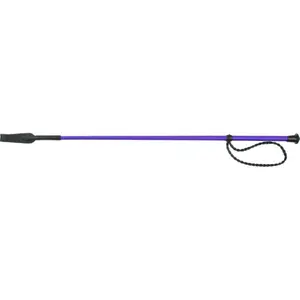 Paardrijzweep Whip & Go Twist image-0