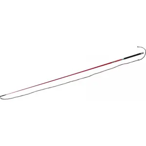 Riding crop Whip & Go Carbone