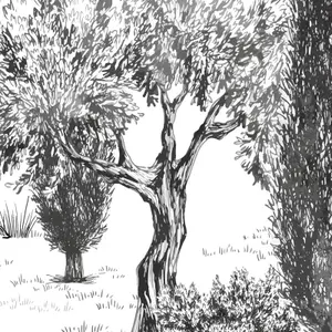 Tapete 99déco Tivoli B&W image-0