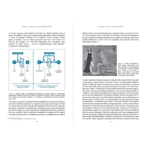 Reservar o talento Amphora image-2