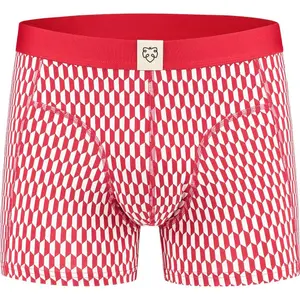 Boxer Adam EDWIN image-0