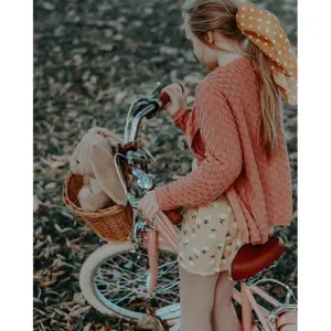 Kinderfahrrad Bobbin Bikes Gingersnap image-2