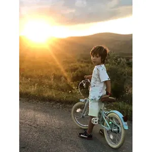 Bicicleta para niños Bobbin Bikes Gingersnap image-3