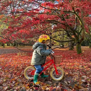 Bicicleta para crianças Bobbin Bikes Moonbug Balance image-2