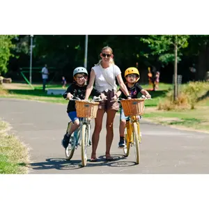 Vélo enfant Bobbin Bikes Gingersnap image-3