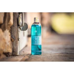 Gel rafraichissant cheval pour jambe Carr&Day&Martin 500 ml image-1