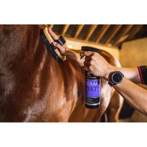 Šampon pro koně v hliníkové lahvi Carr&Day&Martin Dreamcoat ultimate coat finish 1l image-3