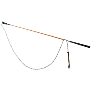 Carrot stick T de T image-0