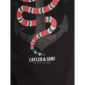 T-shirt Cayler & Sons wl anchored image-4