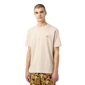T-Shirt mit kurzen Ärmeln Dickies Mapleton image-4