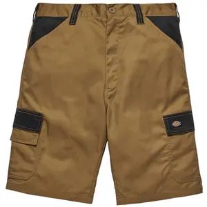 Pantalón corto Dickies Everyday EX. DED247SH image-1