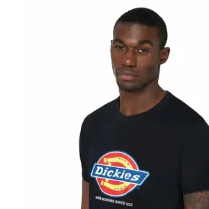T-Shirt Dickies Denison DT6010 image-4