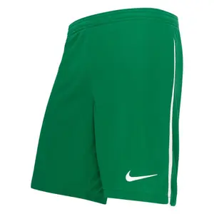 Children's knitted shorts Nike Dri-Fit LGE III image-6