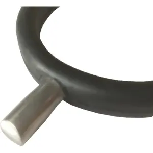 reitsporn prince of wales T de T image-3