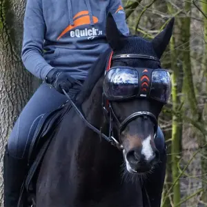 Paardenbril eQuick eVysor image-4
