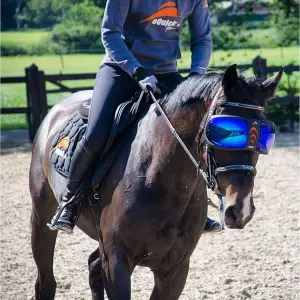 Lunettes cheval eQuick eVysor image-4