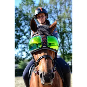 evysor5-brille-pferd-equick-evysor-grun-tu