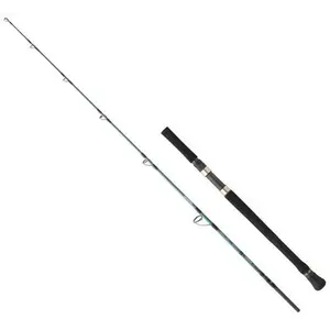 Spinning-Rute Daiwa Grandwave JG 56 HS 90-210g image-0