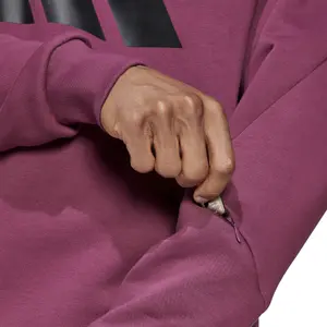 Sweatshirt adidas Sportswear Future Icons Winterized image-0