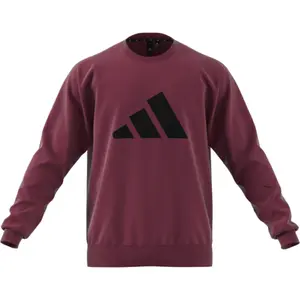Sweatshirt adidas Sportswear Future Icons Winterized image-1