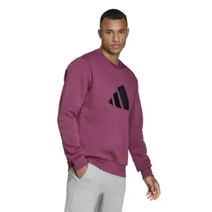 Sweatshirt adidas Sportswear Future Icons Winterized image-2