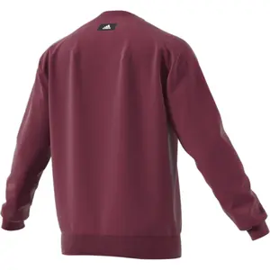 Sweatshirt adidas Sportswear Future Icons Winterized image-4
