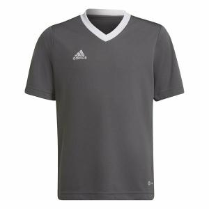 h57499-camiseta-para-ni-os-adidas-entrada-22-gris