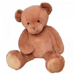 Orso di Pantin Histoire d'Ours Titours