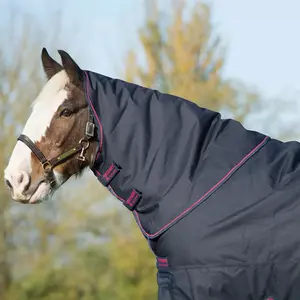 Manta para caballos Horseware Amigo image-0
