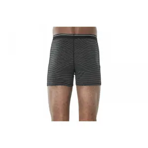 Boxershorts Icebreaker anatomica image-4