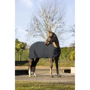 Stable Blanket  LeMieux Arika Clima-Tek image-3