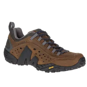 Hiking shoes Merrell Intercept image-0