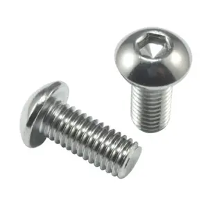 Skruer Jagwire Workshop Pivot Plug M8 for Fork-Chrome 20pcs image-0
