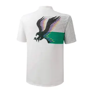 Polo Mizuno Archive image-1