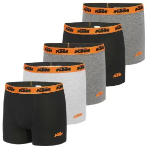 Boxer KTM (x5) image-2