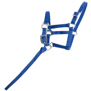 Horse halter for foal T de T image-0
