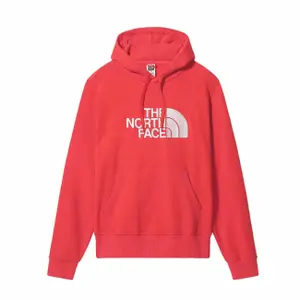 Hooded sweatshirt The North Face Drew Peak image-0