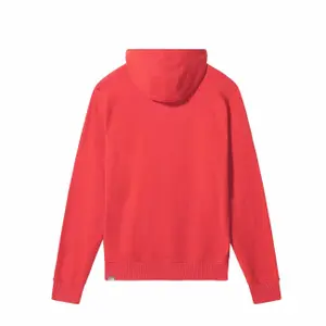 Hooded sweatshirt The North Face Drew Peak image-1