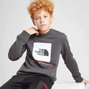 Sweatshirt child The North Face Box image-2