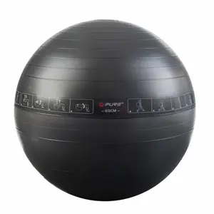 Balles d'exercices fitness Pure2Improve 65cm image-0
